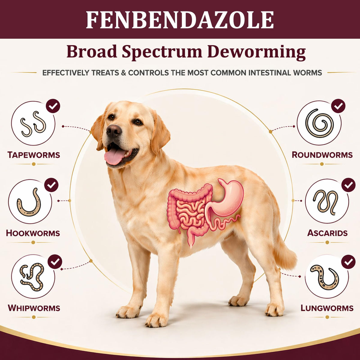 Dogs & Puppies Oral Dewormer 24 Count X39611