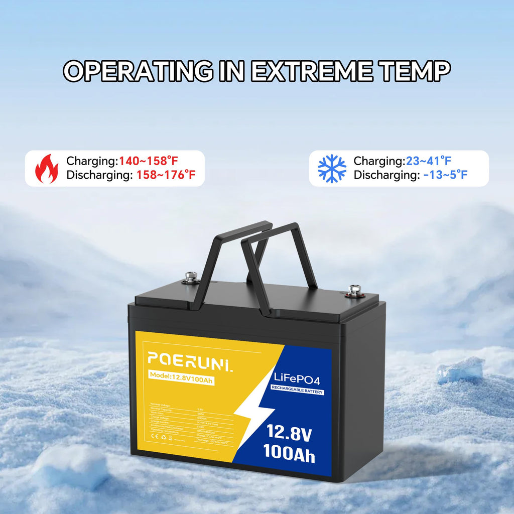 12V 100Ah LiFePO4 Battery V207858