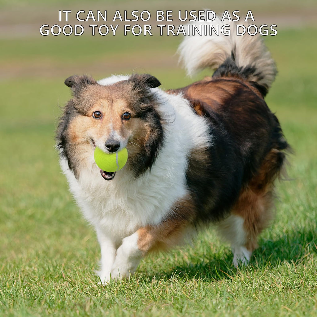 20 Pack Tennis Balls with Mesh Bag R368